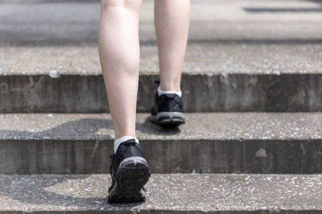 歩行や階段で使われるふくらはぎの筋肉